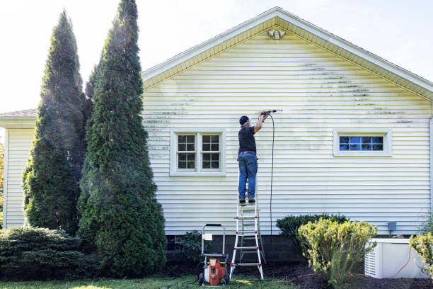 Best Fence Cleaning  in Andalusia, IL